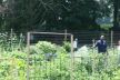Norwalk Community Gardens